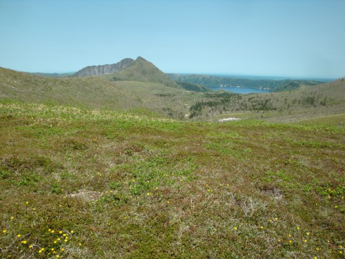 DSC05003